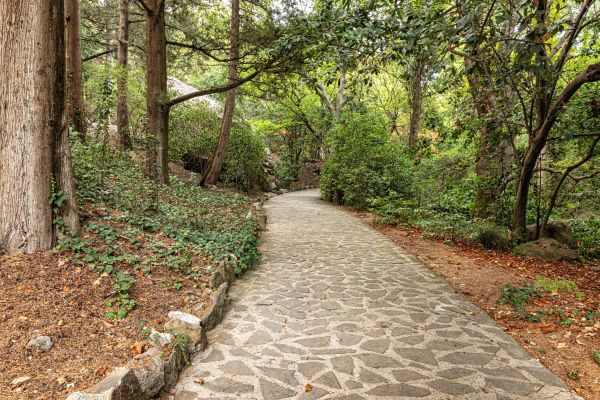 Stone Walkway Repair in Sandy