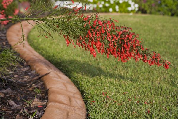 Brick Edging in Sandy